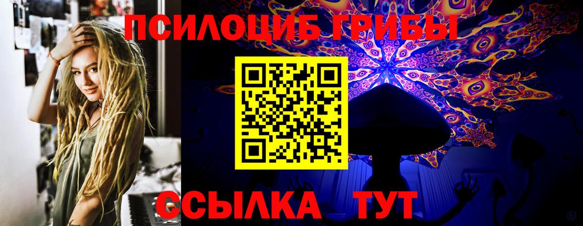 Псилоцибиновые грибы прущие грибы Великие Луки